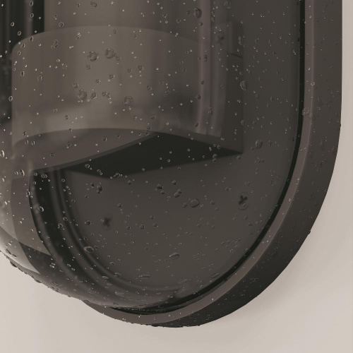 Настенный светильник (бра) Outdoor O449WL-01GF Настенный светильник (бра) Outdoor O449WL-01GF