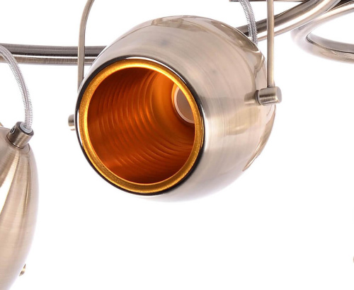 Спот Seven Fires Арго 47265.01.05.04