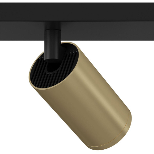 Спот Maytoni Technical Focus S C051CL-02BMG (C051CL-02B+TRA020-01MG+TRA020-01MG)