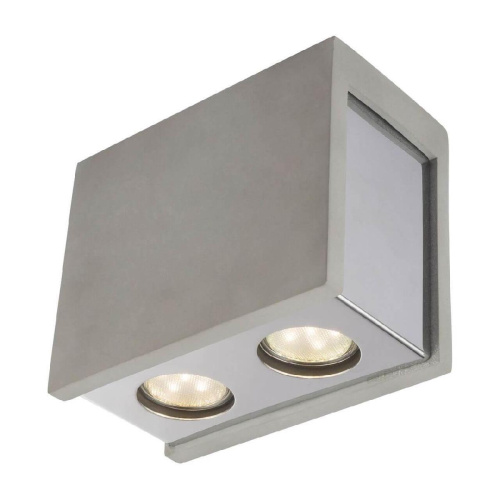 Потолочный светильник Globo Timo 55011-2D Потолочный светильник Globo Timo 55011-2D