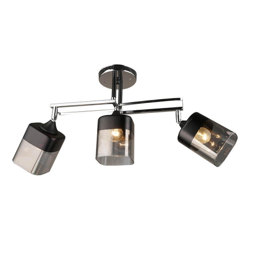 Спот Wedo Light Брижит 66057.01.13.03