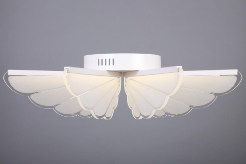 Потолочная светодиодная люстра Omnilux OML-48207-80