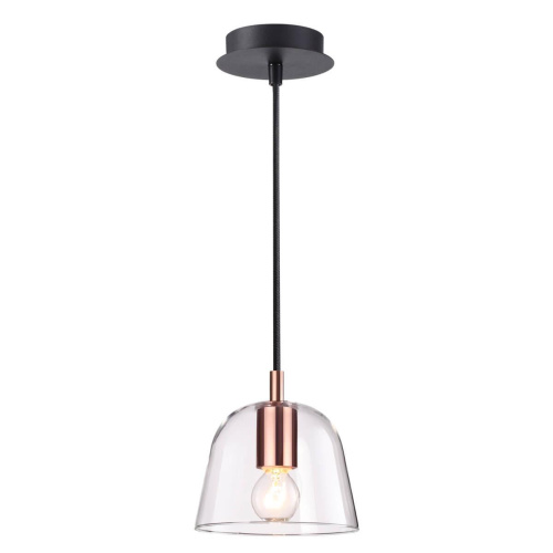 Подвесной светильник Lumion Joseph 4455/1