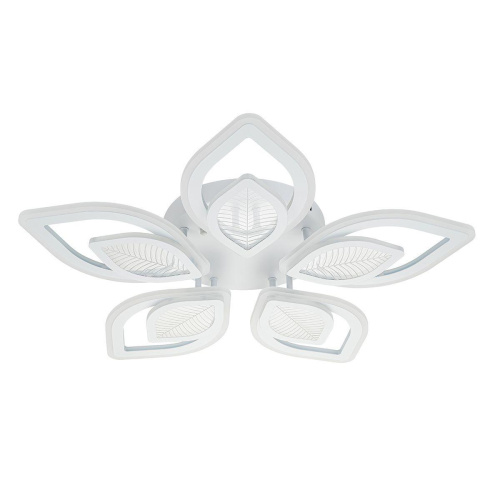 Потолочная светодиодная люстра Escada Anise 10288/10LED