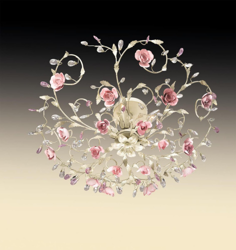 Потолочная люстра Odeon Light Oxonia 2585/5