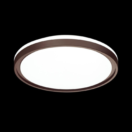 Настенно-потолочный светодиодный светильник Sonex Pale Navil 3044/DL
