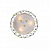 Потолочный светильник ST Luce Fiori SL695.502.03
