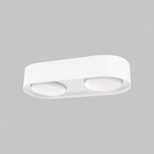 Потолочный светильник IMEX Simple IL.0005.2600-2-WH Потолочный светильник IMEX Simple IL.0005.2600-2-WH