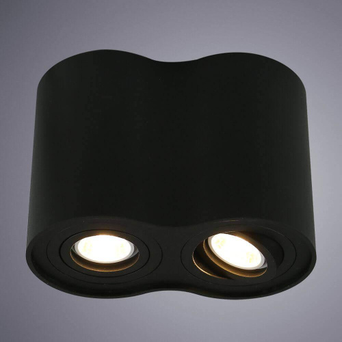 Потолочный светильник Arte Lamp A5644PL-2BK Потолочный светильник Arte Lamp A5644PL-2BK