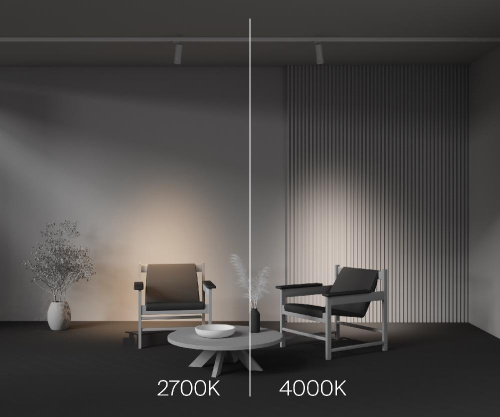 Трековый светильник Technical TR198-3-20W4K-Z-W Трековый светильник Technical TR198-3-20W4K-Z-W