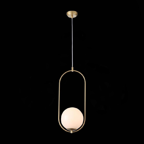 Подвесной светильник ST Luce Penolo SL1118.203.01