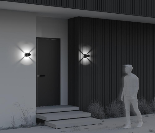 Настенный светильник (бра) Outdoor O458WL-L9GF3K