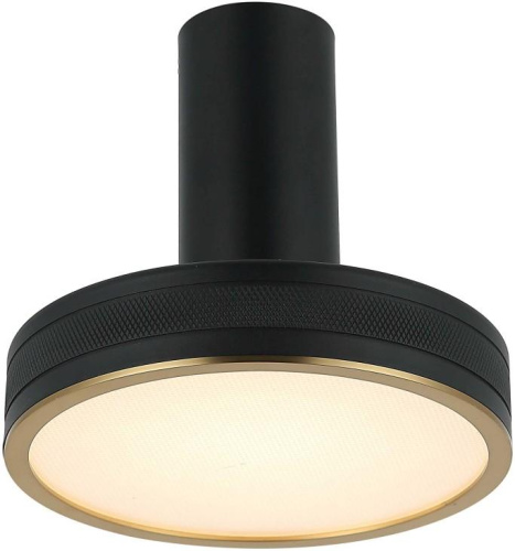 Светильник потолочно/настенный Stilfort 4025/02/01CW, серия Tendas