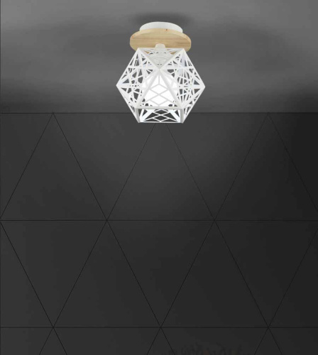 Потолочный светильник Seven Fires Aland WD3572/1C-WT Потолочный светильник Seven Fires Aland WD3572/1C-WT