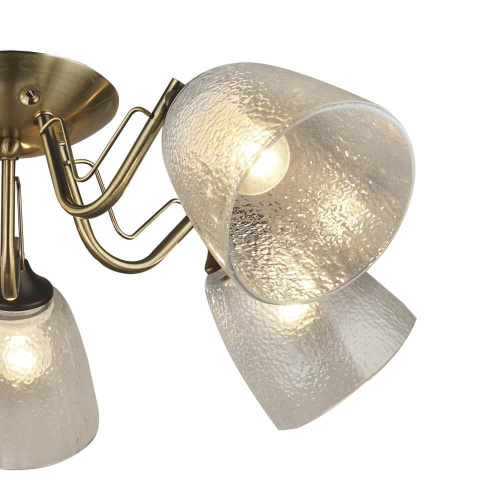 Потолочная люстра Wedo Light Rena 66609.01.37.05