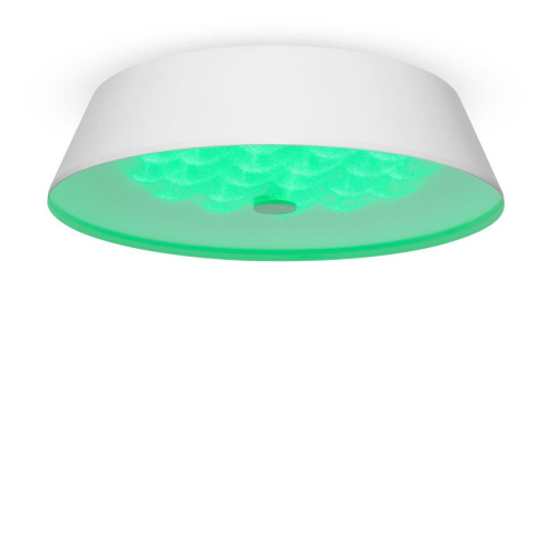 Потолочный светодиодный светильник Freya Cells FR10013CL-L24W