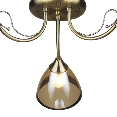 Потолочная люстра Wedo light Бареджо 66269.01.05.03