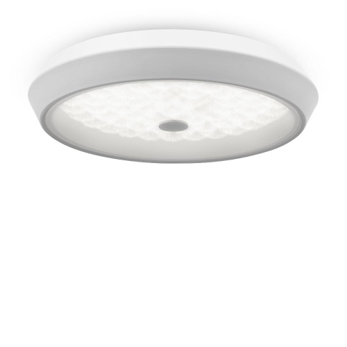 Потолочный светодиодный светильник Freya Cells FR10012CL-L24W