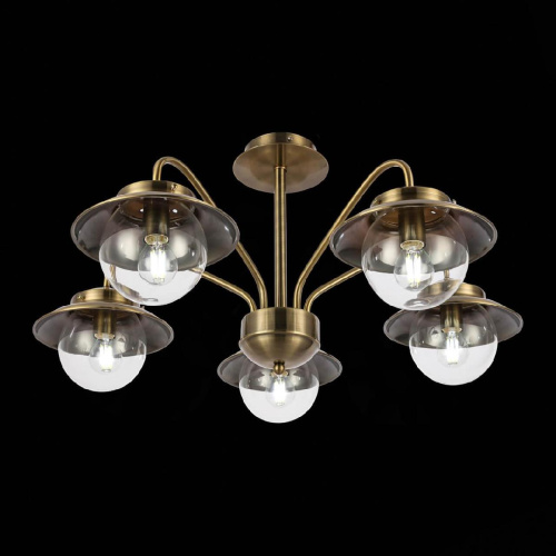 Потолочная люстра Evoluce Garonni SLE110102-05