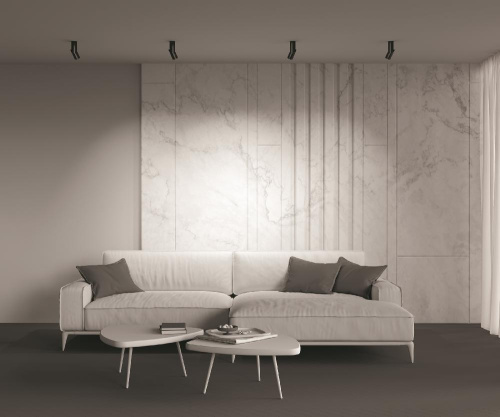 Светодиодный спот Maytoni Dafne C027CL-L10B
