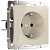Розетка Werkel с заземлением и шторками слоновая кость WL03-SKGS-01-IP44-ivory 4690389047176