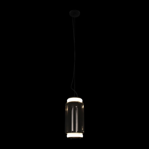 Подвесной светодиодный светильник Loft IT Noctambule 10194/S Подвесной светодиодный светильник Loft IT Noctambule 10194/S