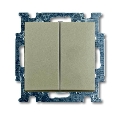 Выключатель двухклавишный ABB Basic55 10A 250V шампань 2CKA001012A2167 Выключатель двухклавишный ABB Basic55 10A 250V шампань 2CKA001012A2167