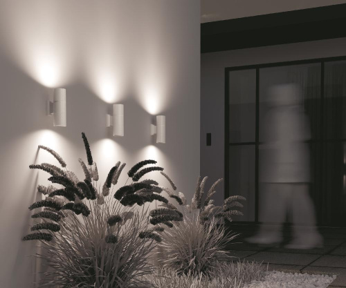 Настенный светильник (бра) Outdoor O583WL-02W