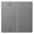 Клавиша двойная Schneider Electric Merten D-Life MTN5226-6036