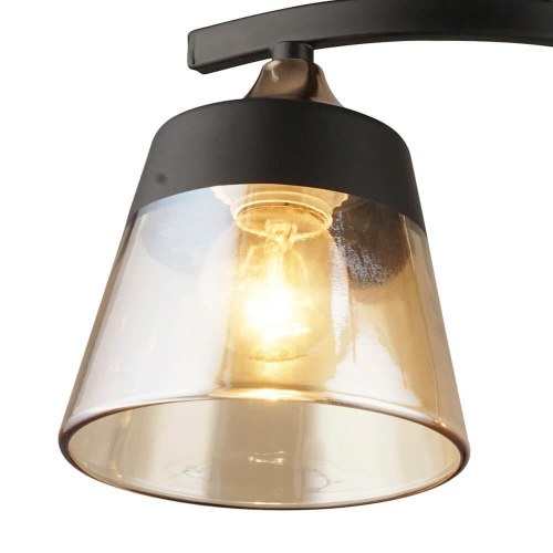 Потолочная люстра Wedo Light Бранка 66076.01.69.02