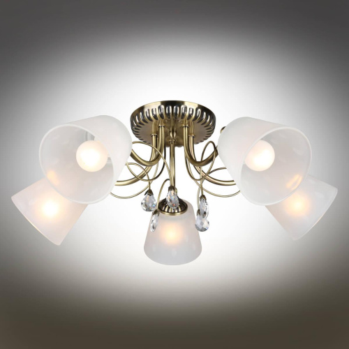 Потолочная люстра Omnilux Larone OML-54607-05