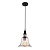 Подвесной светильник Loft IT Loft1812