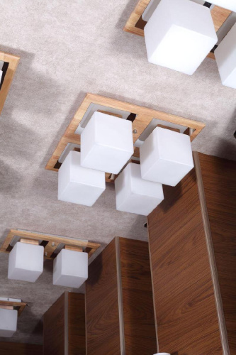 Потолочная люстра Lucia Tucci Natura 084.4