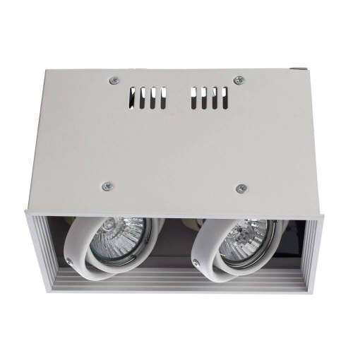 Потолочный светильник Arte Lamp Cardani A5942PL-2WH Потолочный светильник Arte Lamp Cardani A5942PL-2WH