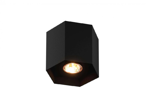 Потолочный светильник Zumaline Polygon cl 1l 20035-BK