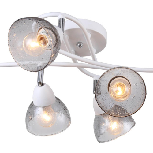 Потолочная люстра F-Promo Rosebud 2350-6U