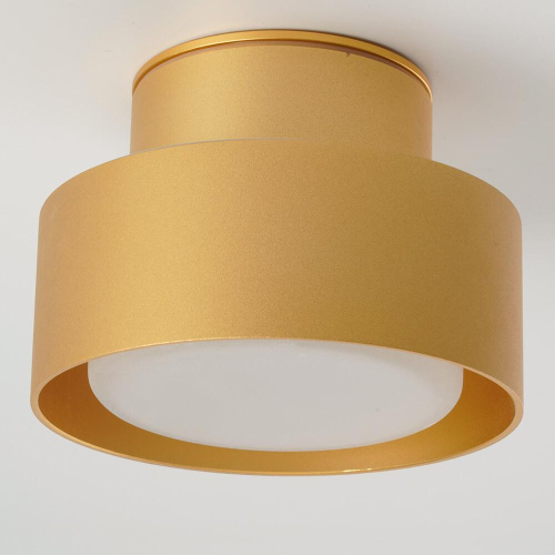 Потолочный светильник Feron Aura HL367 48408 Потолочный светильник Feron Aura HL367 48408