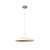 Подвесной светильник Loft IT Loft1844/C