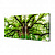 Модульная картина Toplight Природа 50х100см TL-M2029