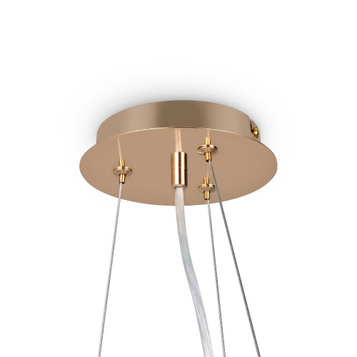 Подвесной светильник Freya FR1010PL-10G