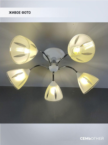 Потолочная люстра Seven Fires Ayna WD3521/5C-WT-CR-WT