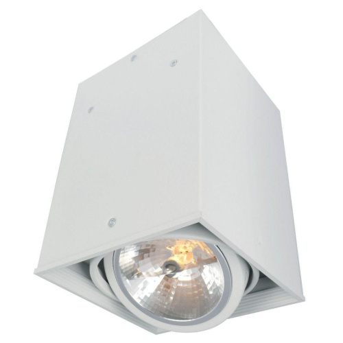Потолочный светильник Arte Lamp Cardani A5936PL-1WH Потолочный светильник Arte Lamp Cardani A5936PL-1WH