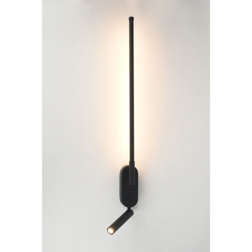 Настенный светодиодный светильник Rivoli Liliana 6169-201 Б0066481