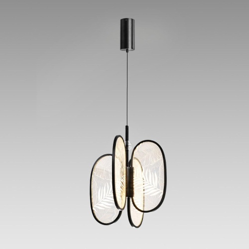 Подвесной светодиодный светильник Odeon Light Exclusive L-Vision Piuma 6665/38L Подвесной светодиодный светильник Odeon Light Exclusive L-Vision Piuma 6665/38L