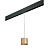 Трековый светильник Lightstar Rullo (213490+595887) PRORP3490