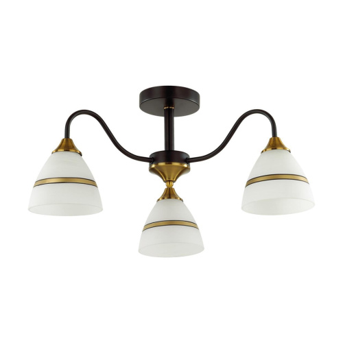 Потолочная люстра Lumion Comfi Nettie 5214/3C