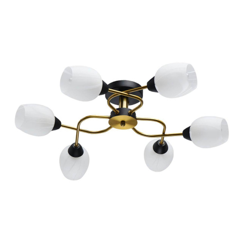 Потолочная люстра MW-Light Олимпия 638018406 Потолочная люстра MW-Light Олимпия 638018406
