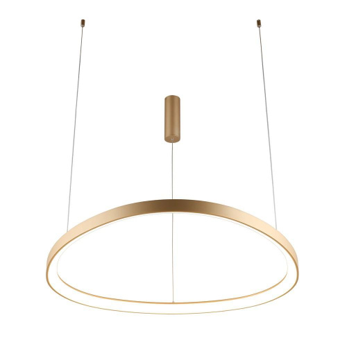 Подвесной светильник Aployt Zula APL.022.03.60