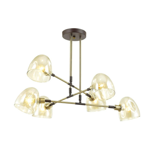 Подвесная люстра Lumion Noah 4434/6C