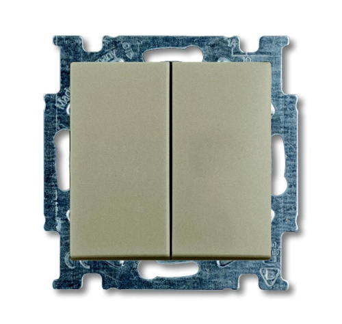 Выключатель двухклавишный ABB Basic55 10A 250V шампань 2CKA001012A2167 Выключатель двухклавишный ABB Basic55 10A 250V шампань 2CKA001012A2167